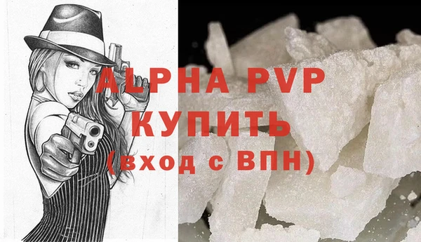 PSILOCYBIN Бородино