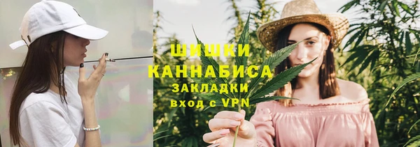 PSILOCYBIN Бородино
