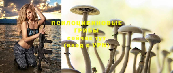 PSILOCYBIN Бородино